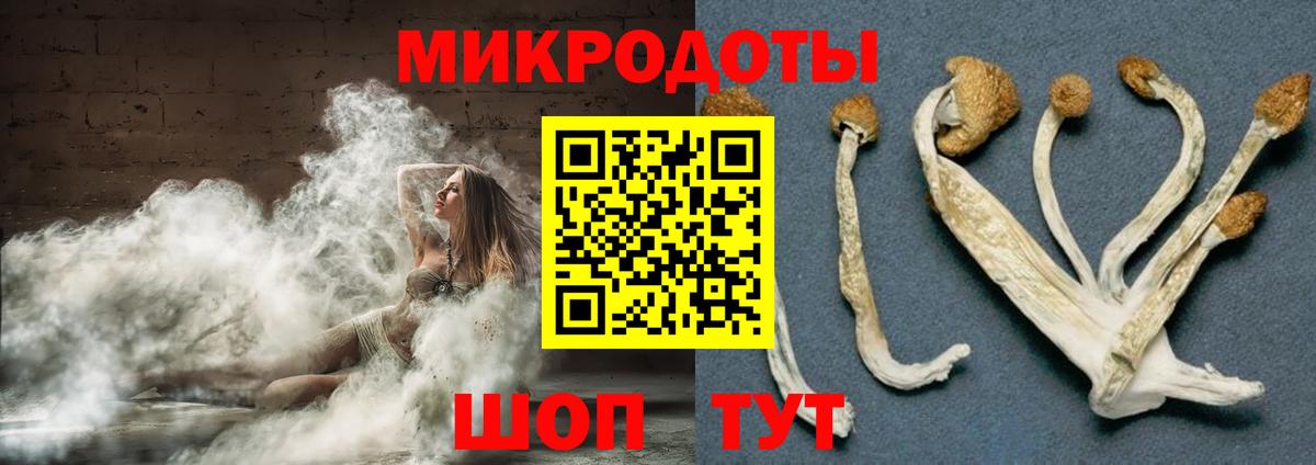 Псилоцибиновые грибы MAGIC MUSHROOMS Ижевск